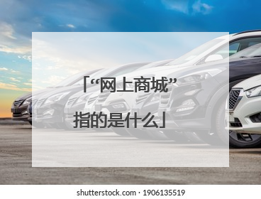 “网上商城”指的是什么