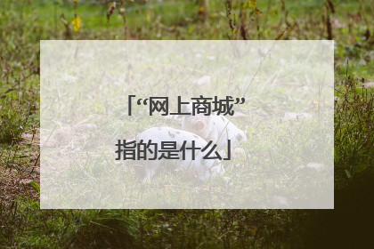 “网上商城”指的是什么