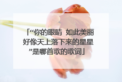 “你的眼睛 如此美丽 好像天上落下来的星星”是哪首歌的歌词