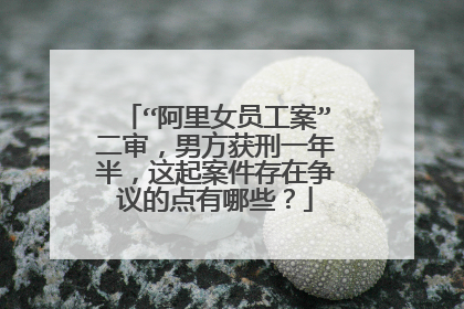 “阿里女员工案”二审,男方获刑一年半,这起案件存在争议的点有哪些?
