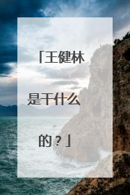 王健林是干什么的?