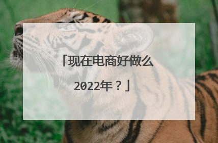 现在电商好做么2022年？