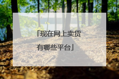 现在网上卖货有哪些平台