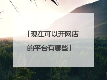 现在可以开网店的平台有哪些