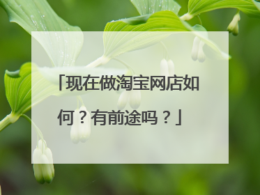 现在做淘宝网店如何?有前途吗?