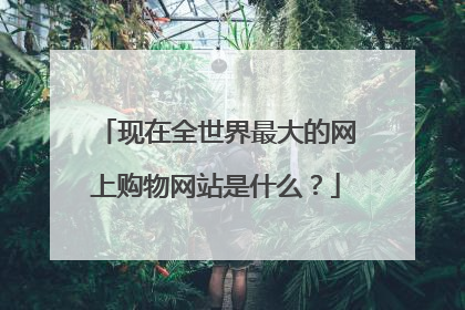 现在全世界最大的网上购物网站是什么？