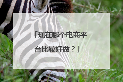 现在哪个电商平台比较好做?