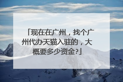 现在在广州,找个广州代办天猫入驻的,大概要多少资金?