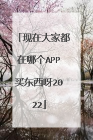 现在大家都在哪个APP买东西呀2022