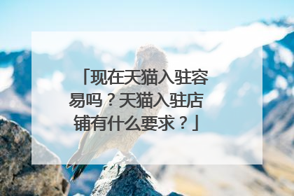 现在天猫入驻容易吗？天猫入驻店铺有什么要求？