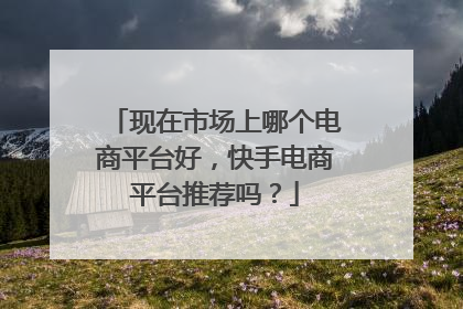 现在市场上哪个电商平台好,快手电商平台推荐吗?