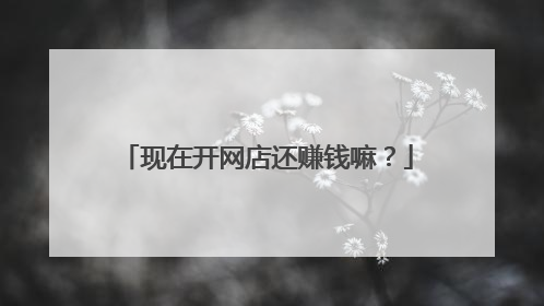 现在开网店还赚钱嘛？