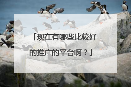 现在有哪些比较好的推广的平台啊?