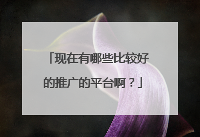 现在有哪些比较好的推广的平台啊?