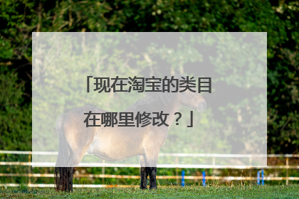 现在淘宝的类目在哪里修改？