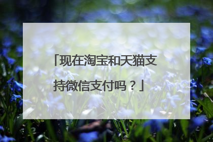 现在淘宝和天猫支持微信支付吗？
