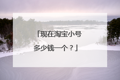 现在淘宝小号多少钱一个?