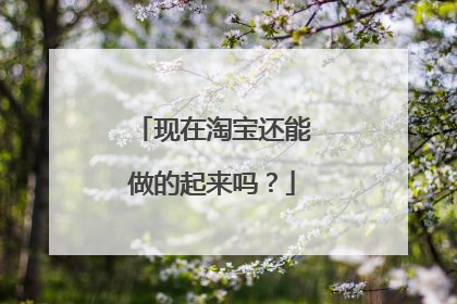 现在淘宝还能做的起来吗?