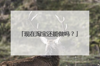 现在淘宝还能做吗？