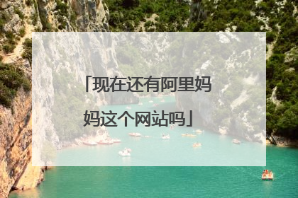 现在还有阿里妈妈这个网站吗