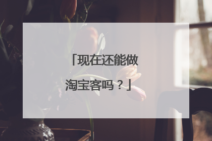 现在还能做淘宝客吗?
