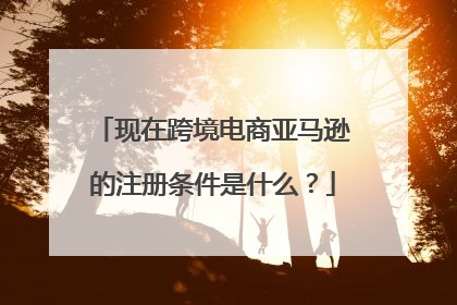 现在跨境电商亚马逊的注册条件是什么?