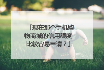 现在那个手机购物商城的信用额度比较容易申请?