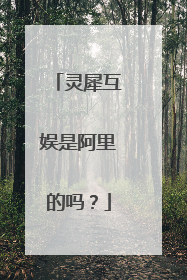 灵犀互娱是阿里的吗?