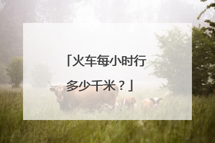 火车每小时行多少千米?