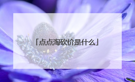 点点淘砍价是什么
