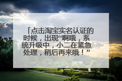 点击淘宝实名认证的时候，出现“啊哦，系统升级中，小二在紧急处理，稍后再来哦！”怎么解决?