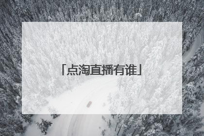 点淘直播有谁