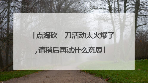 点淘砍一刀活动太火爆了,请稍后再试什么意思