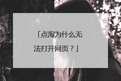 点淘为什么无法打开网页?