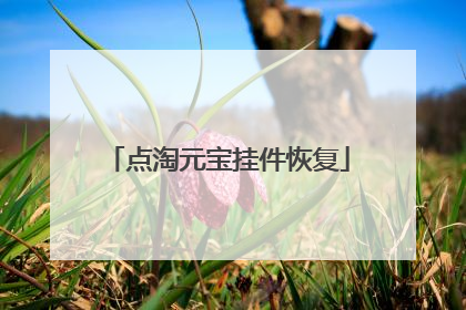 点淘元宝挂件恢复