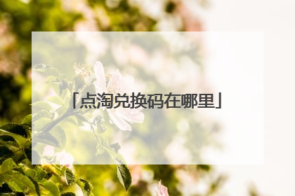 点淘兑换码在哪里