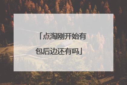 点淘刚开始有包后边还有吗