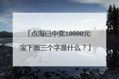 点淘已中奖10000元宝下面三个字是什么？