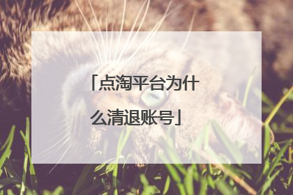 点淘平台为什么清退账号