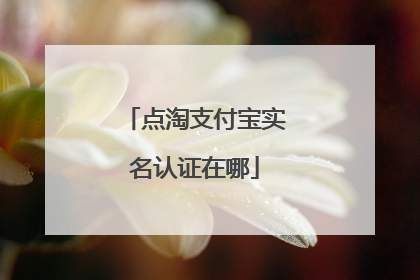 点淘支付宝实名认证在哪