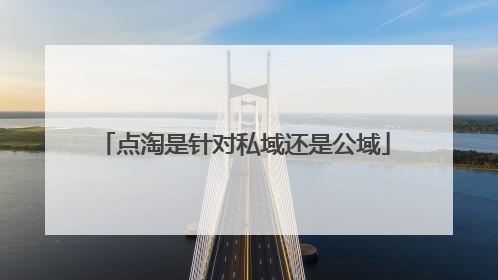 点淘是针对私域还是公域