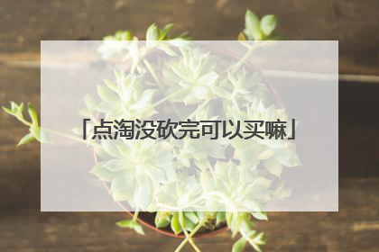 点淘没砍完可以买嘛