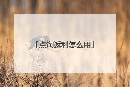 点淘返利怎么用