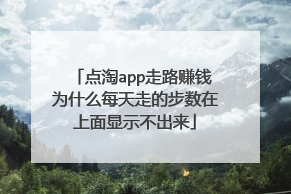 点淘app走路赚钱为什么每天走的步数在上面显示不出来