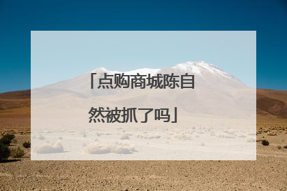 点购商城陈自然被抓了吗