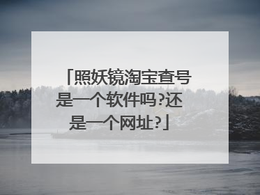 照妖镜淘宝查号是一个软件吗?还是一个网址?