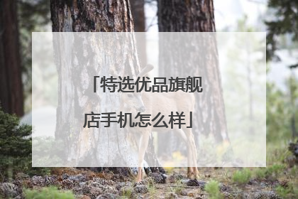 特选优品旗舰店手机怎么样