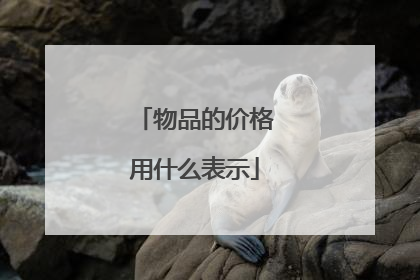 物品的价格用什么表示