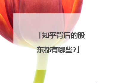 知乎背后的股东都有哪些?