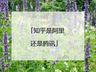 知乎是阿里还是腾讯